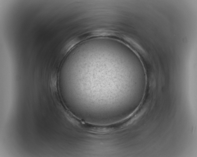 X0000115371273200911101239