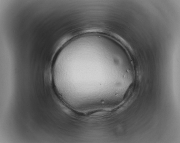 X0000115371274200911101239