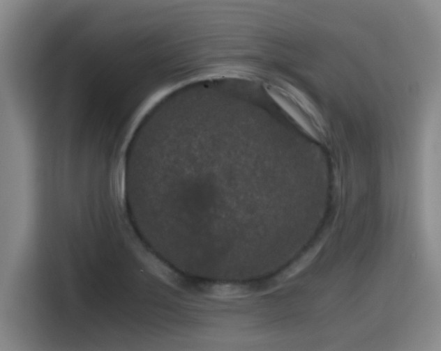 X0000115371275200911101239