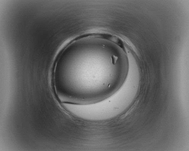 X0000115371277200911101239