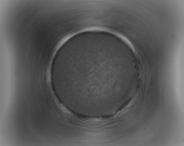 X0000115371279200911101239