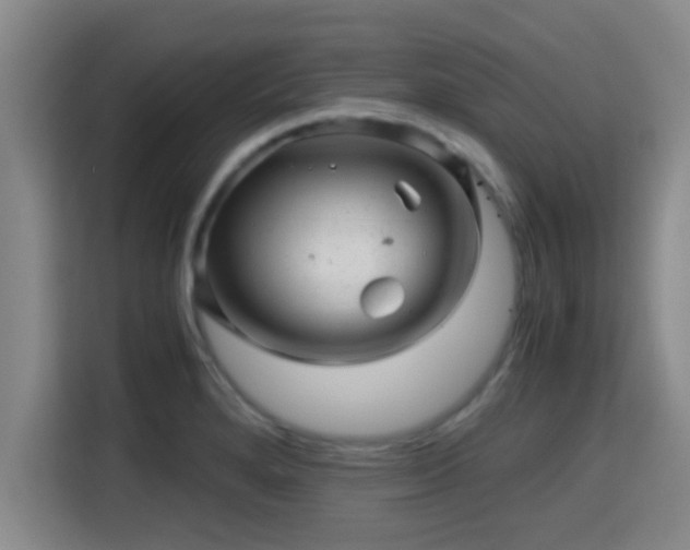 X0000115371280200911101239