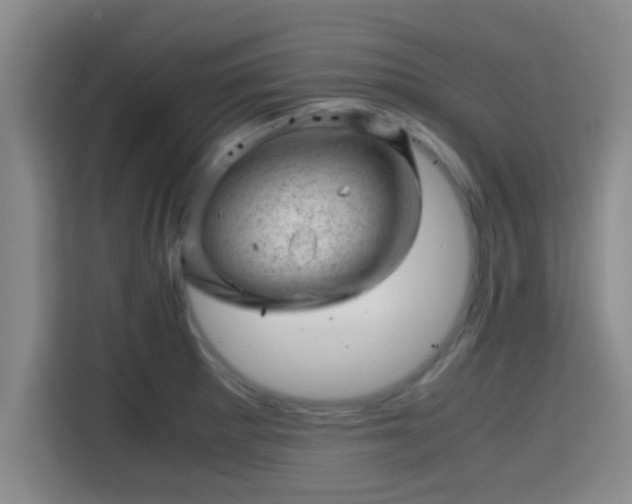 X0000115371281200911101239
