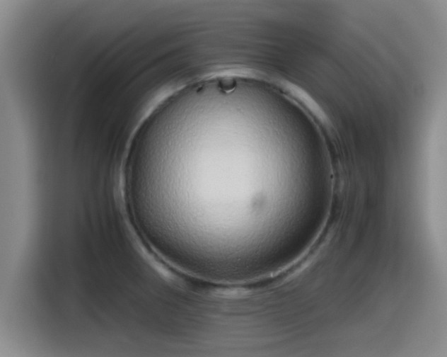 X0000115371282200911101239