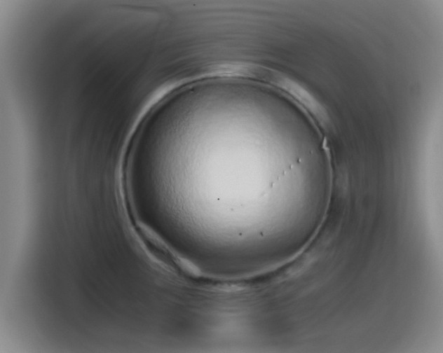 X0000115371283200911101239