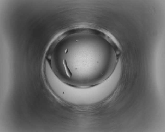 X0000115371285200911101239