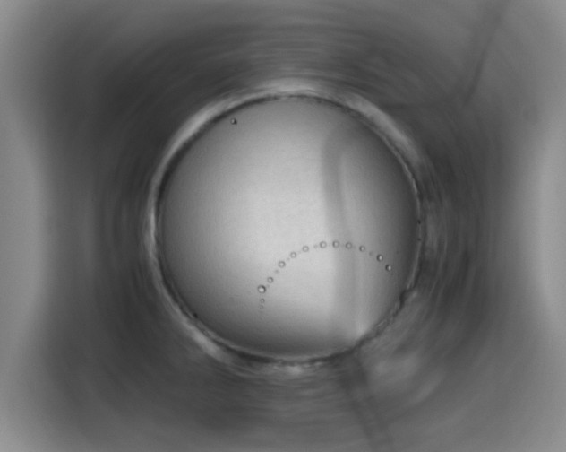X0000115371286200911101239