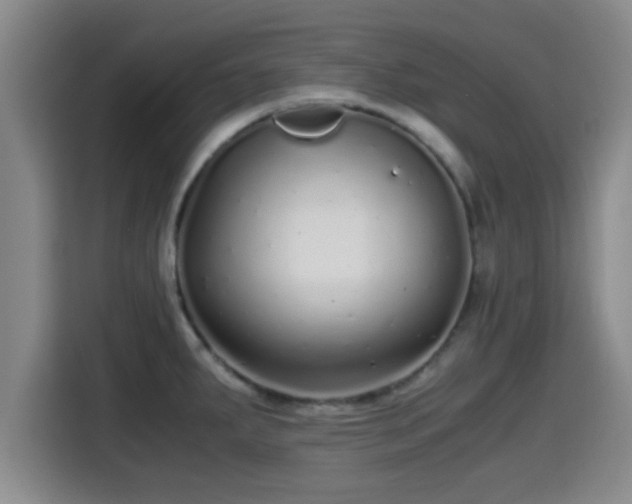 X0000115371287200911101239
