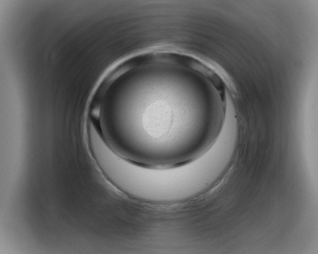 X0000115371288200911101239