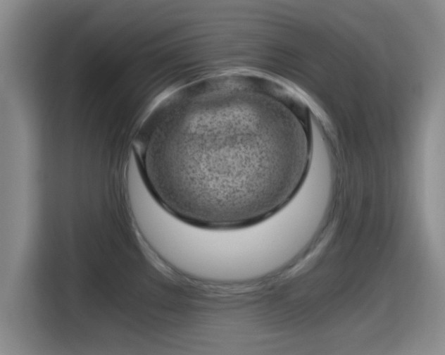 X0000115371289200911101239