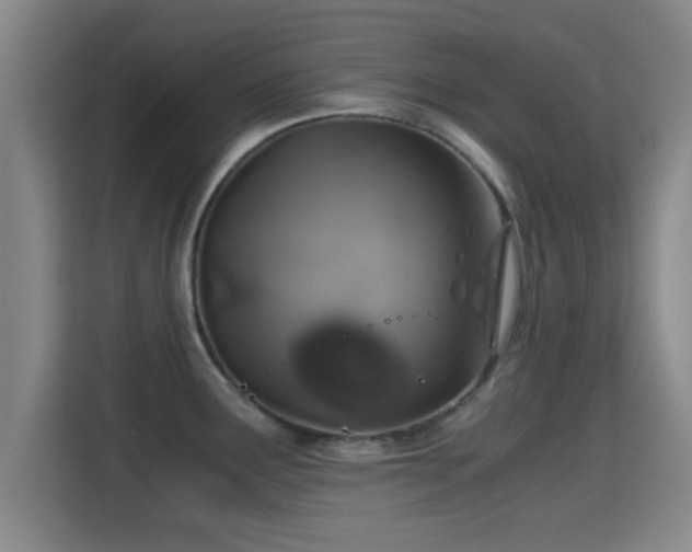 X0000115371291200911101239