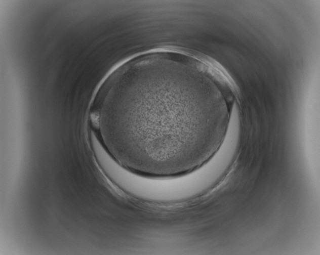 X0000115371292200911101239