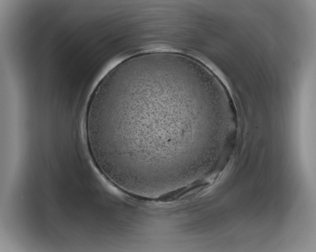X0000115371293200911101239