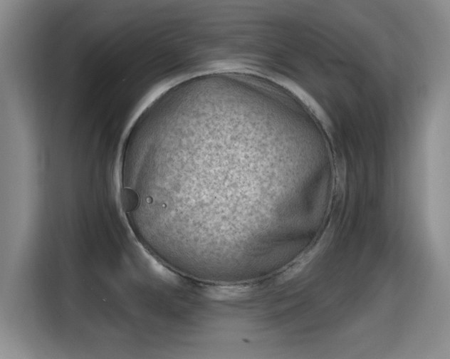 X0000115371294200911101239