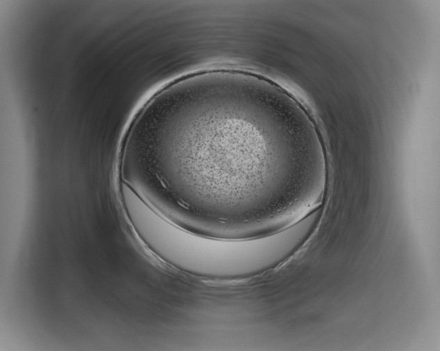 X0000115371296200911101239