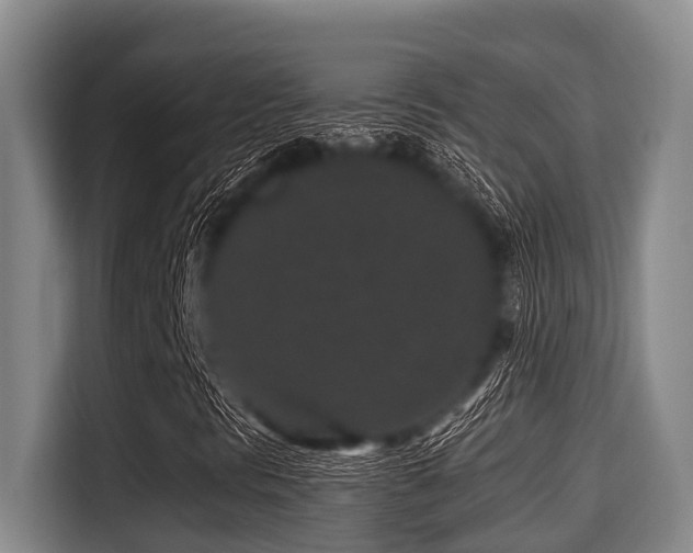X0000115371297200911101238