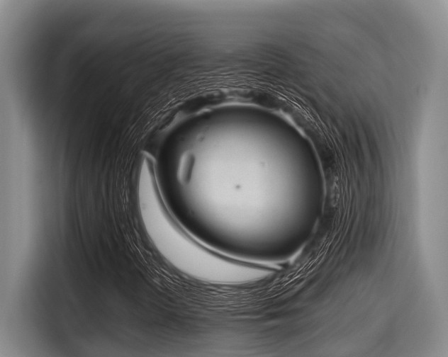 X0000115371298200911101238