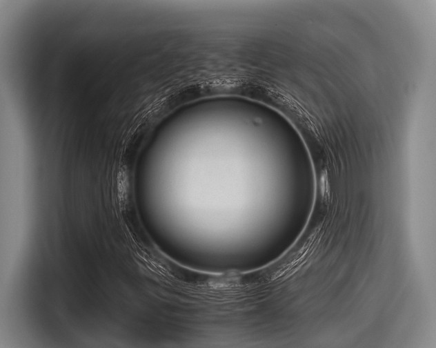 X0000115371299200911101238