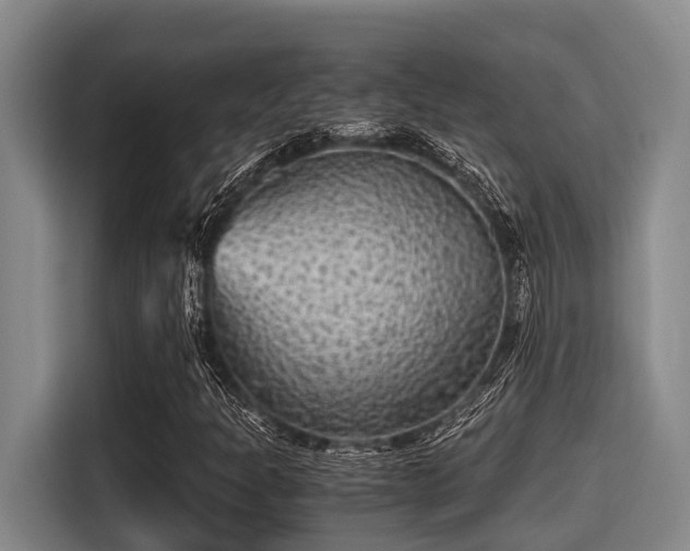 X0000115371301200911101238