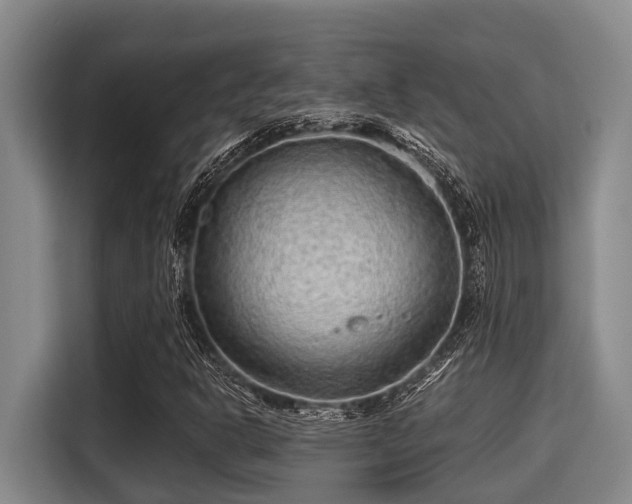 X0000115371302200911101238