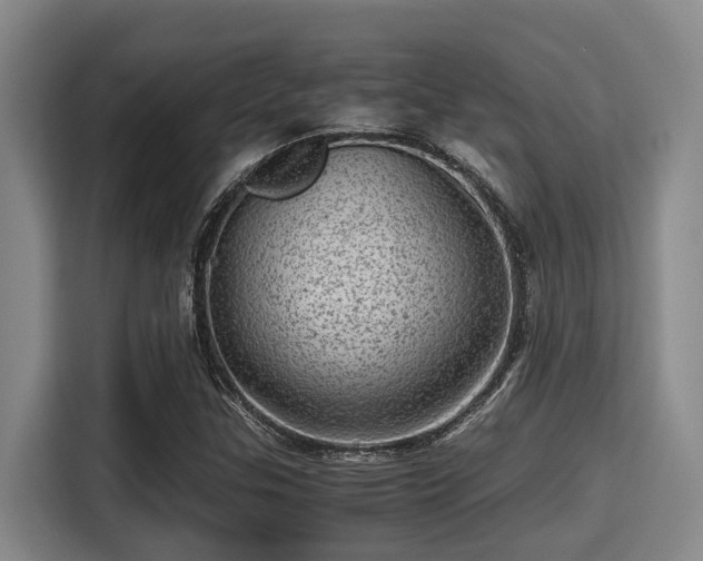 X0000115371307200911101238