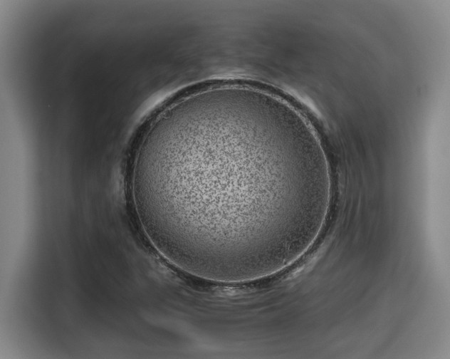 X0000115371311200911101238