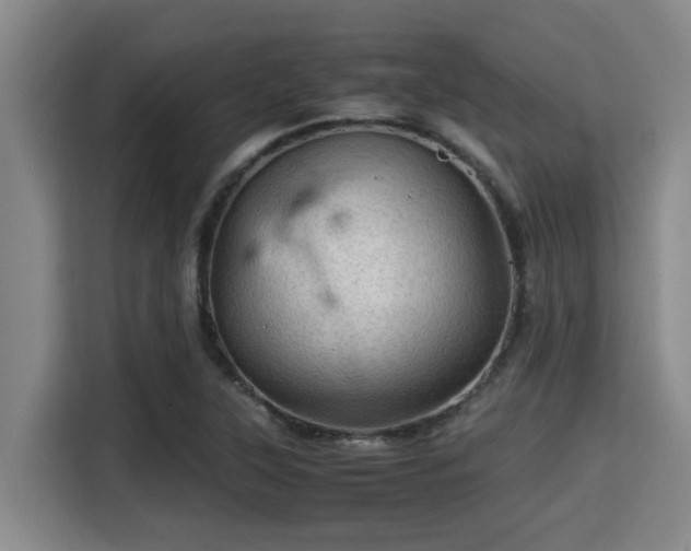 X0000115371315200911101238