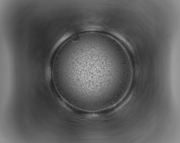X0000115371317200911101238