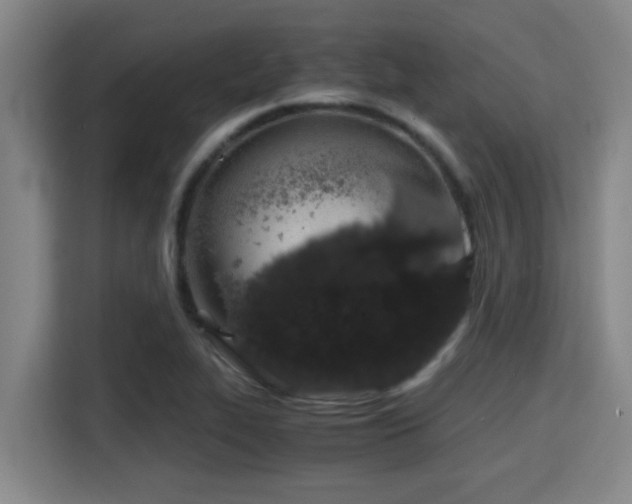 X0000115371319200911101238