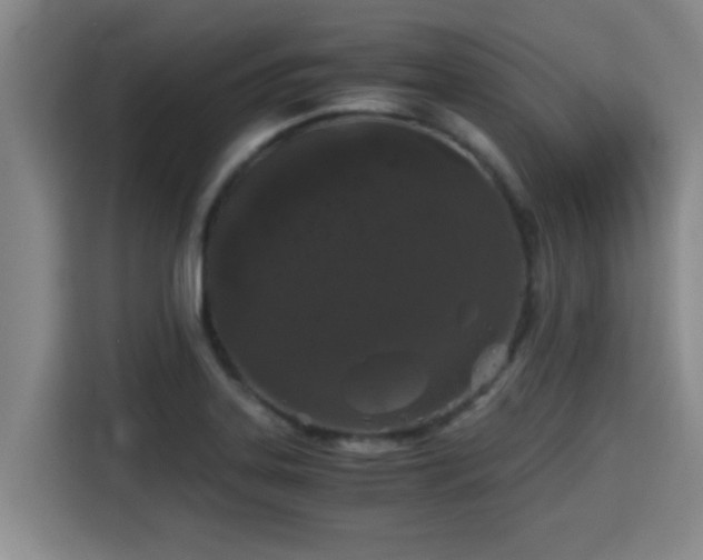 X0000115371323200911101238