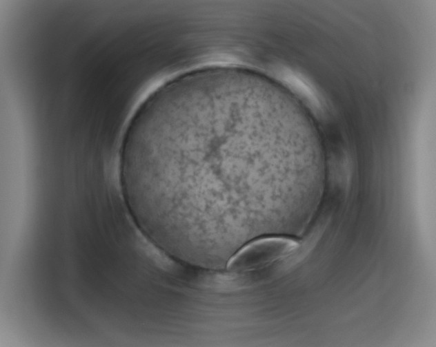 X0000115371326200911101238