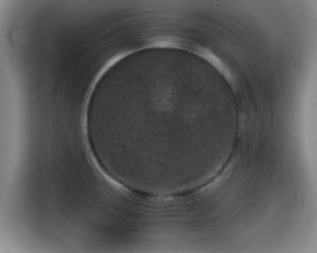 X0000115371331200911101238