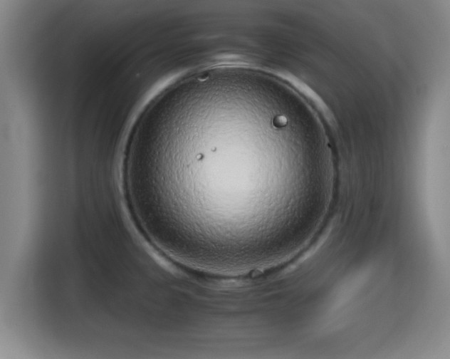 X0000115371333200911101238