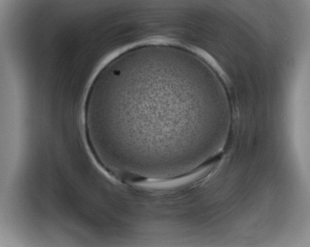 X0000115371335200911101238