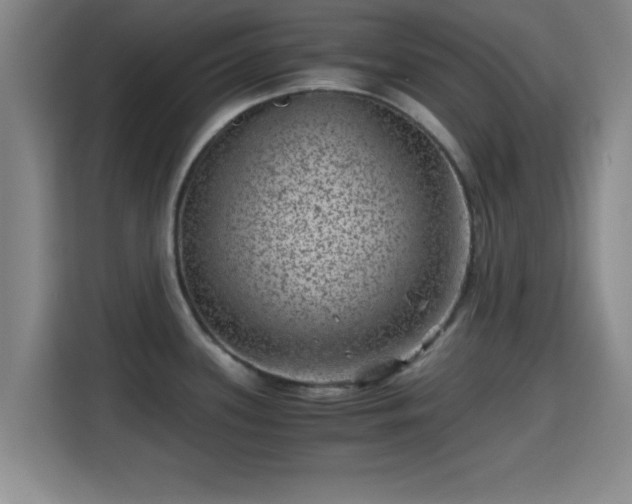 X0000115371339200911101238