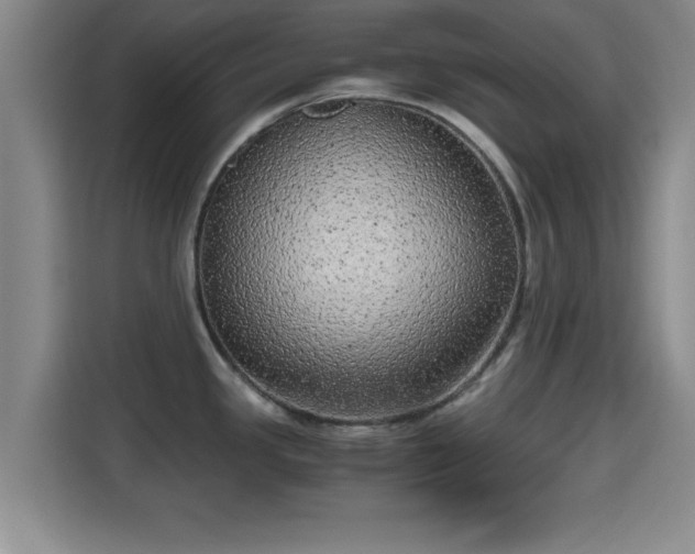 X0000115371341200911101238