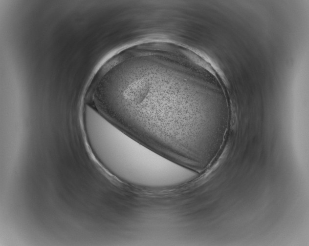 X0000115371342200911101238