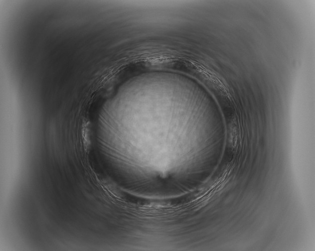 X0000115371346200911101238