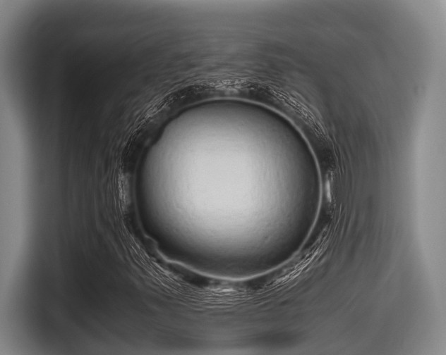 X0000115371347200911101238