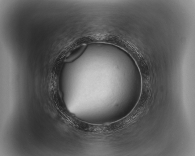 X0000115371349200911101238