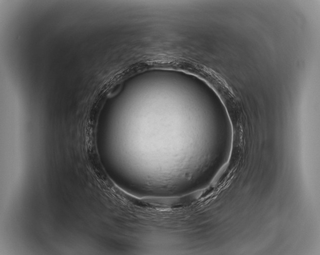 X0000115371350200911101238