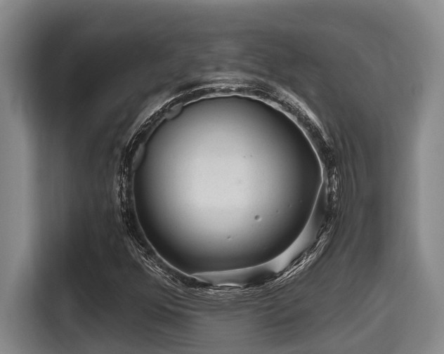 X0000115371352200911101238