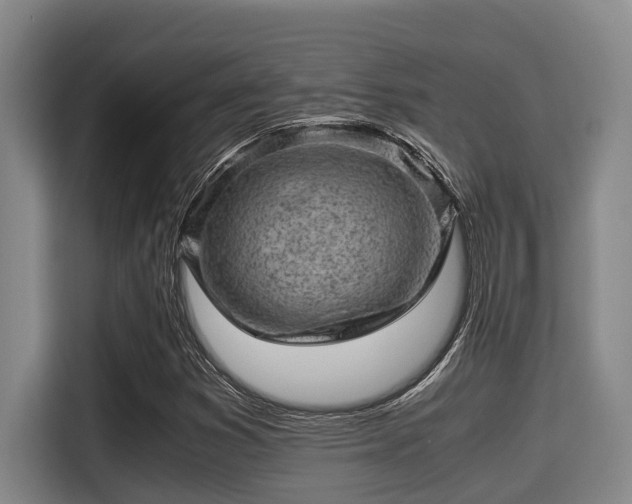 X0000115371353200911101238