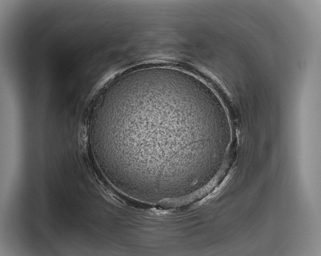 X0000115371355200911101238