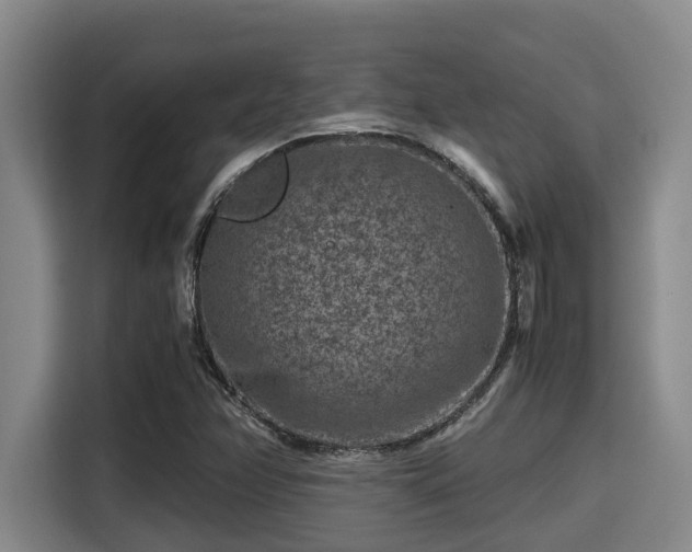 X0000115371358200911101238