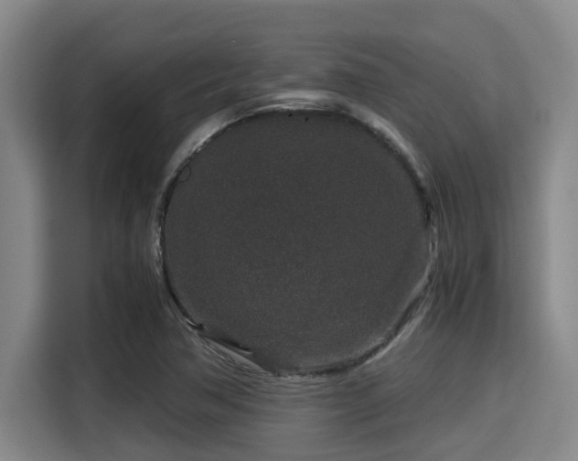 X0000115371362200911101238