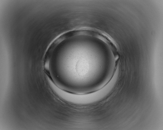 X0000115371364200911101238