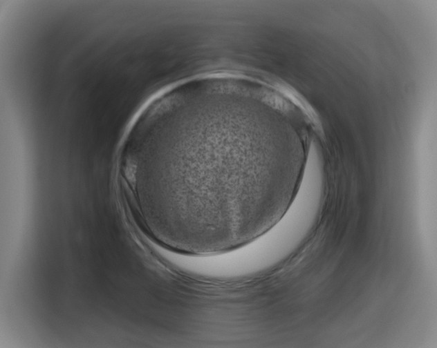 X0000115371368200911101238