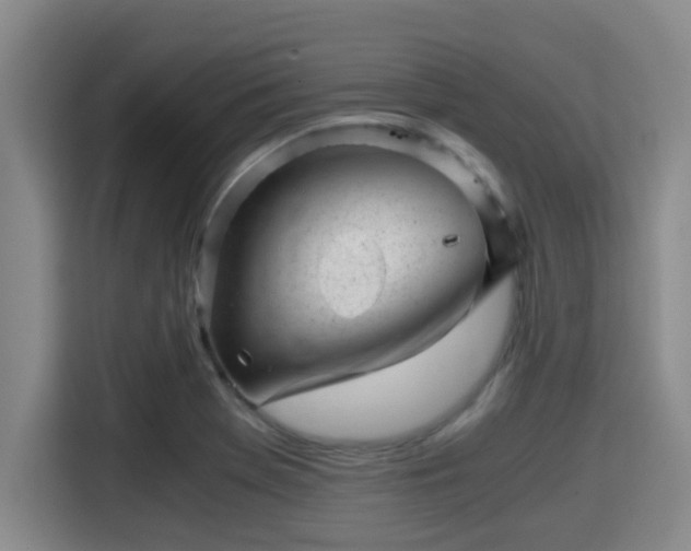 X0000115371369200911101238