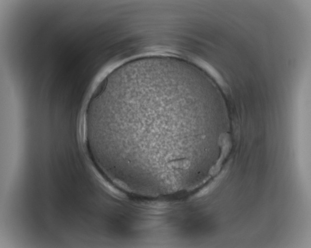 X0000115371371200911101238
